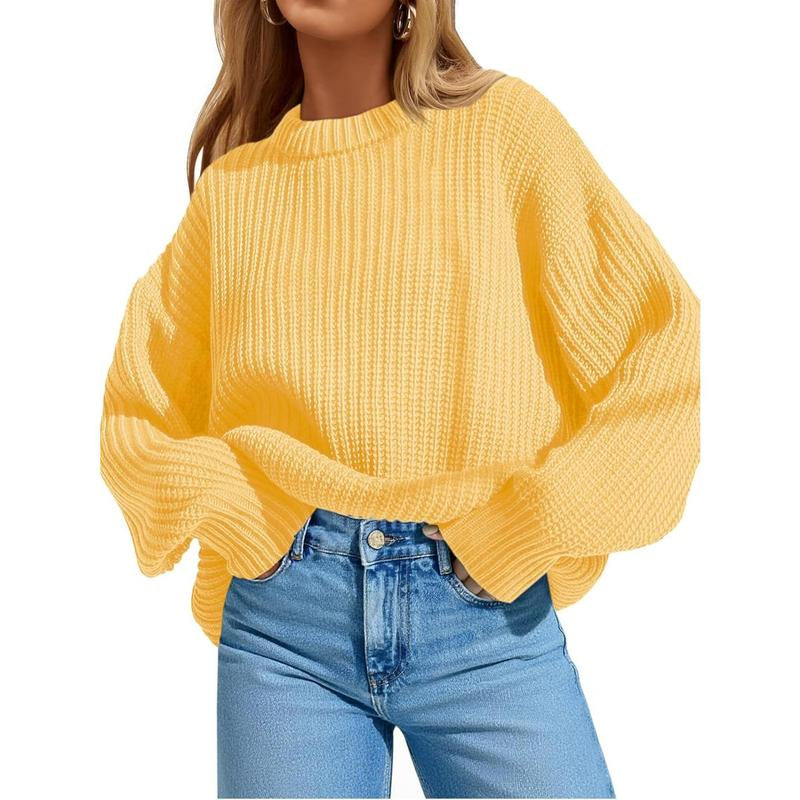 Imily Bela Edit Womens 2025 Fall Chunky Ribbed Knit Sweater Oversized Crewneck Long Sleeve Pullover