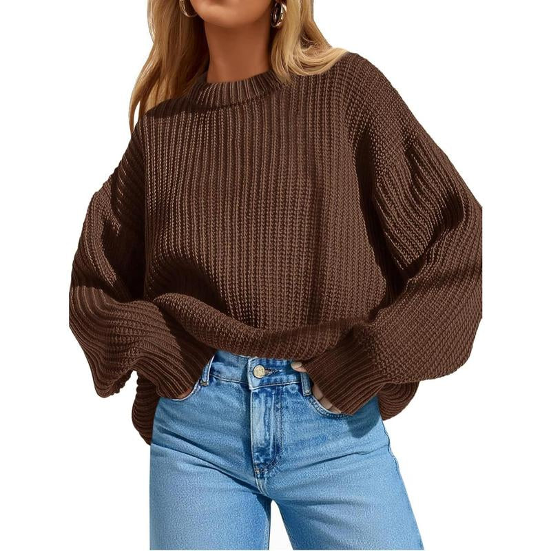 Imily Bela Edit Womens 2025 Fall Chunky Ribbed Knit Sweater Oversized Crewneck Long Sleeve Pullover