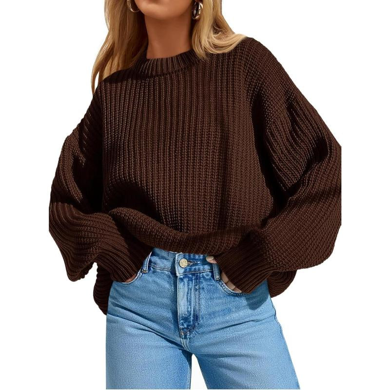 Imily Bela Edit Womens 2025 Fall Chunky Ribbed Knit Sweater Oversized Crewneck Long Sleeve Pullover